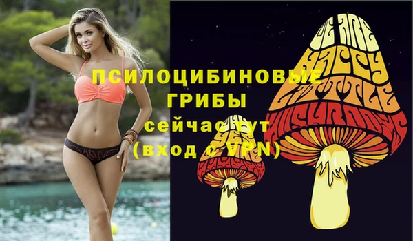 метадон Алзамай