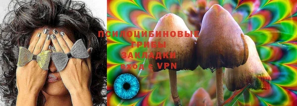 mdpv Арсеньев