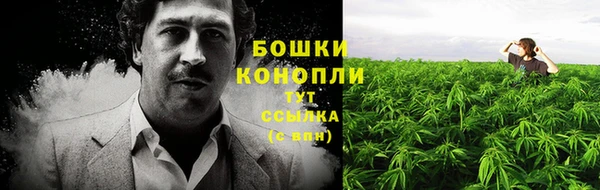 mdpv Арсеньев