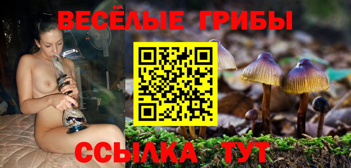 Псилоцибиновые грибы прущие грибы  Вход с VPN  Углич  Галлюциногенные грибы Psilocybine cubensis 
